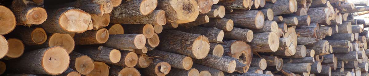 Gibbons Logging And Firewood Sales